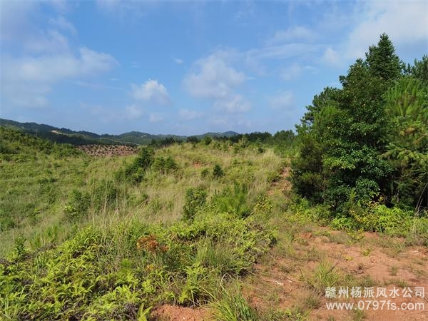 大足区带着徒弟上山学杨公风水现场操作